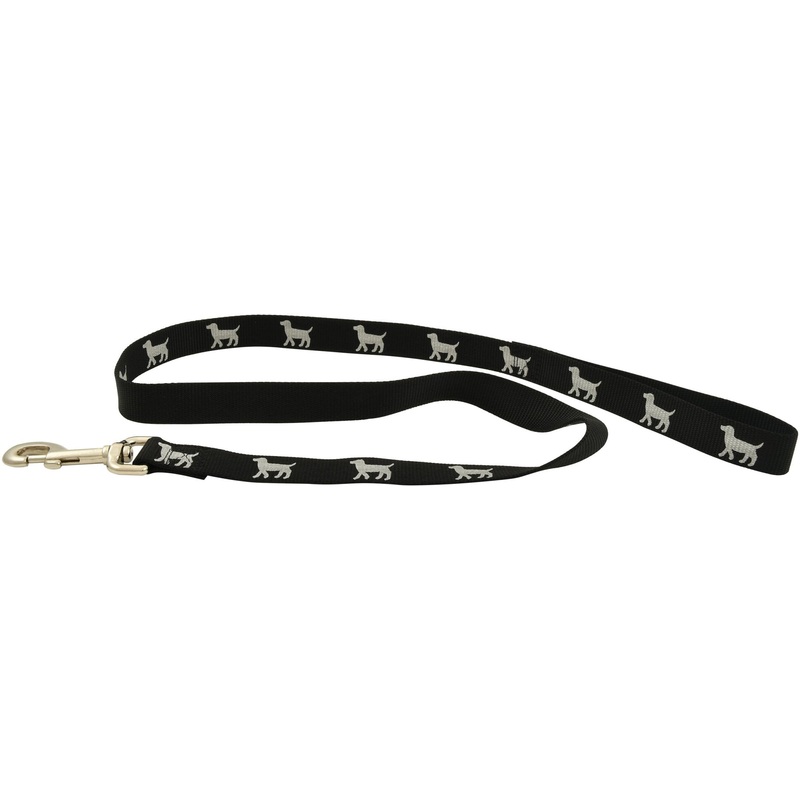 Reflective Hound Series Nylon Dog Leash, 1 x 4′