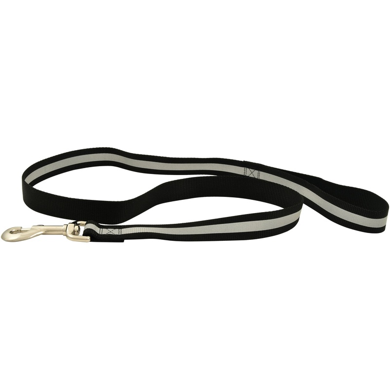Reflective Safety Stripe Nylon Dog Leash, 1 W x 4′ L