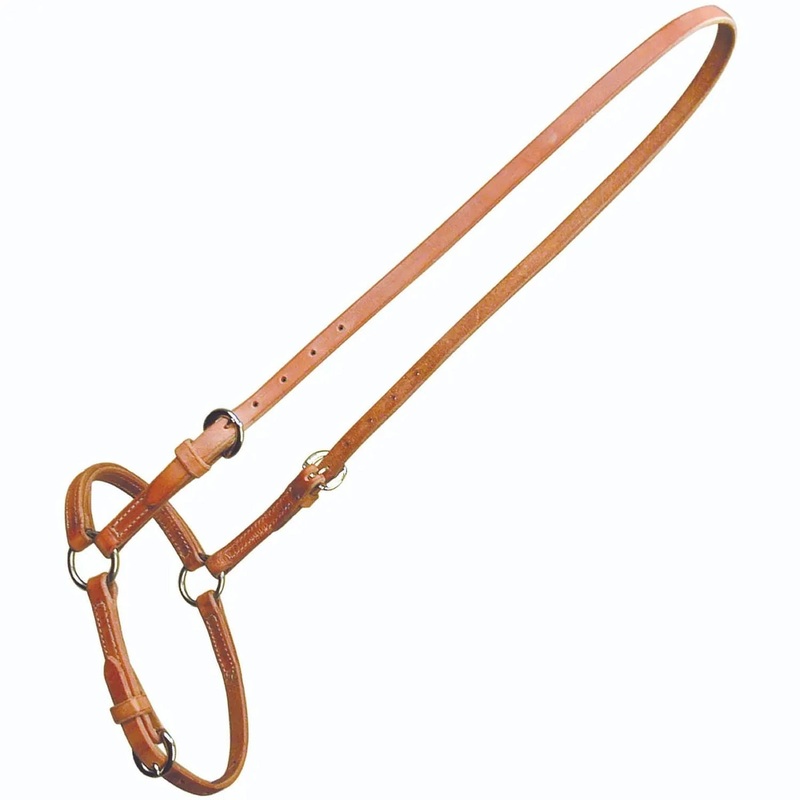 Reinsman Sharon Camarillo Dropped Noseband, Full