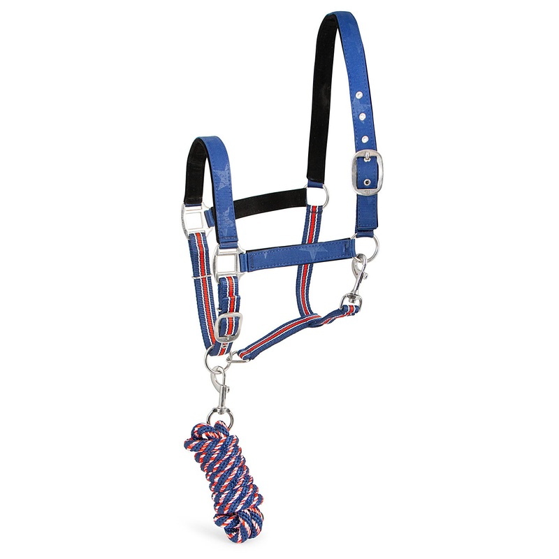 Poplar Head Nylon Horse Halter & Lead Matching Set, Full Size