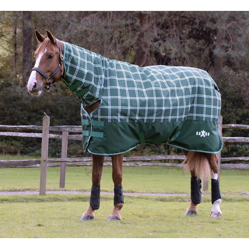Saxon Defiant 1200D Combo Neck Medium Weight Horse Turnout, 200 Gram