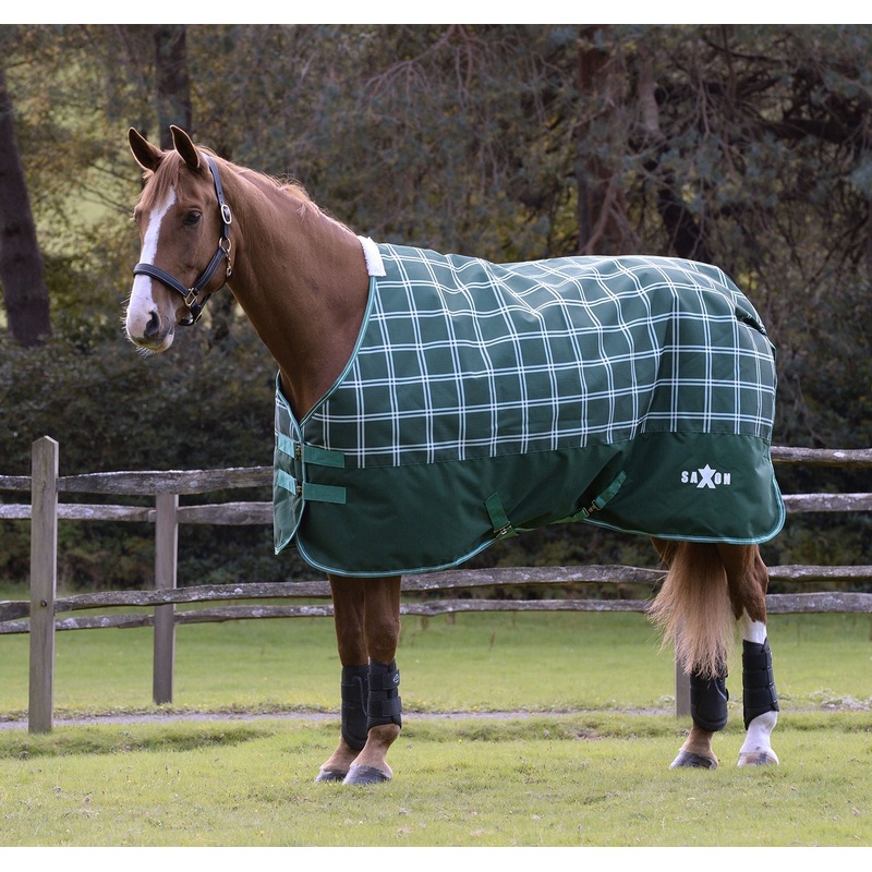 Saxon Defiant 1200D Standard Neck Horse Turnout, Medium, 200 Grams