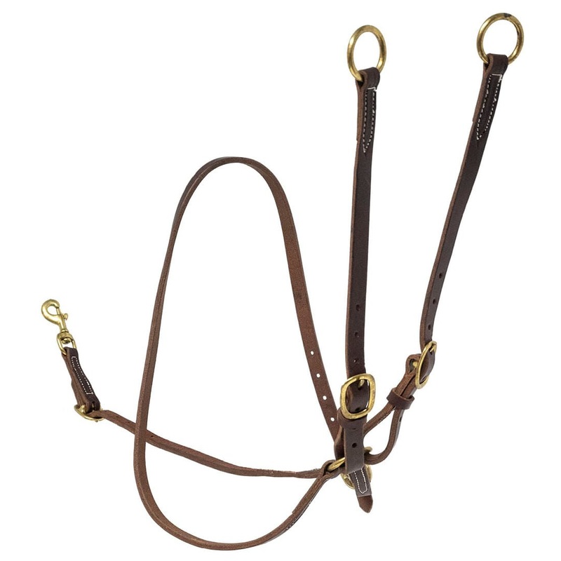 Poplar Head Premium Oiled Harness Leather Training Martingale