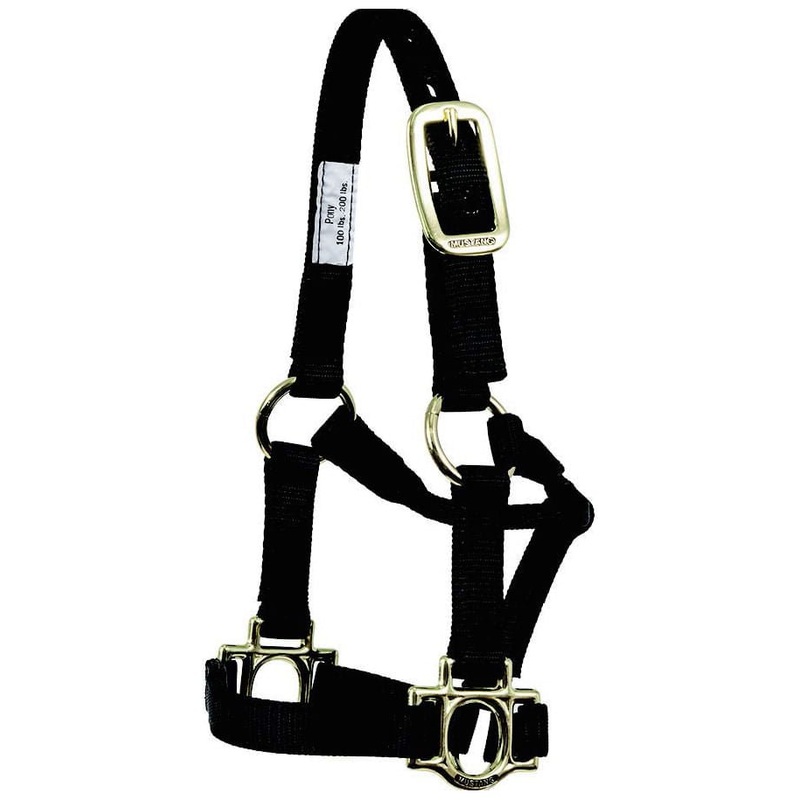 Traditional Nylon Pony Halter|Black