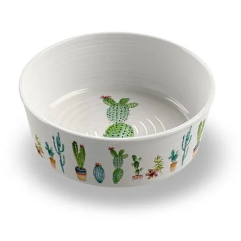 Cactus Pet Bowl|8 cup