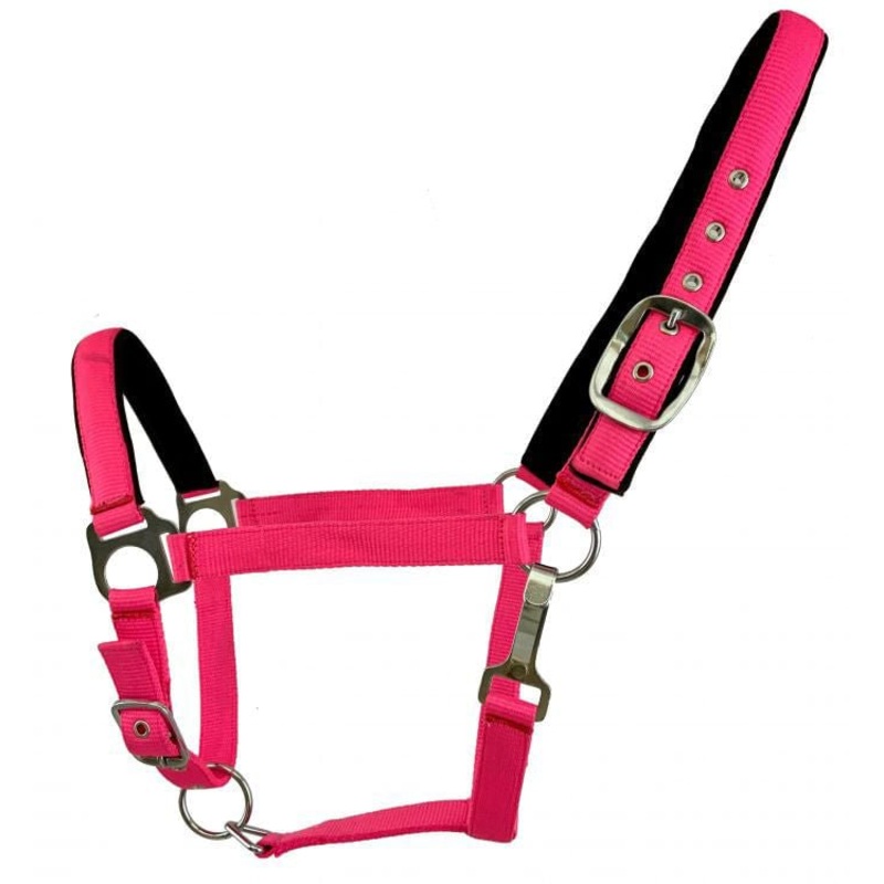 Showman Fluorescent Halters, Full