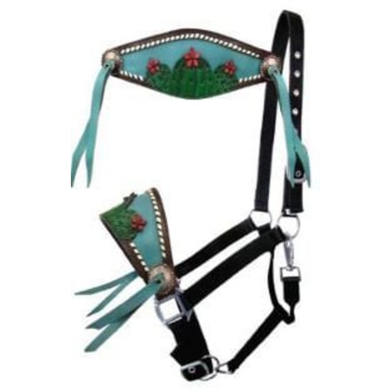 Showman Painted Cactus & 3D Flower Bronc Halter