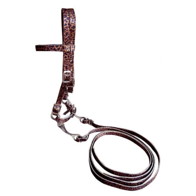 Showman Pony Nylon Bridle|Cheetah|Serape & Sunflower