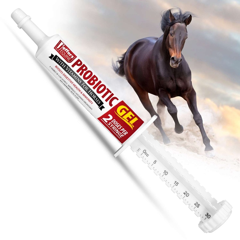 Equine Probiotic Oral Gel for Horses with Vitamins A, B, E, 30 cc Syringe
