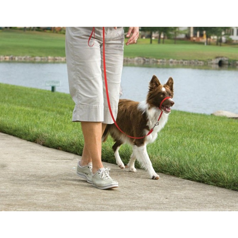 Gentle Leader Headcollar for Dogs