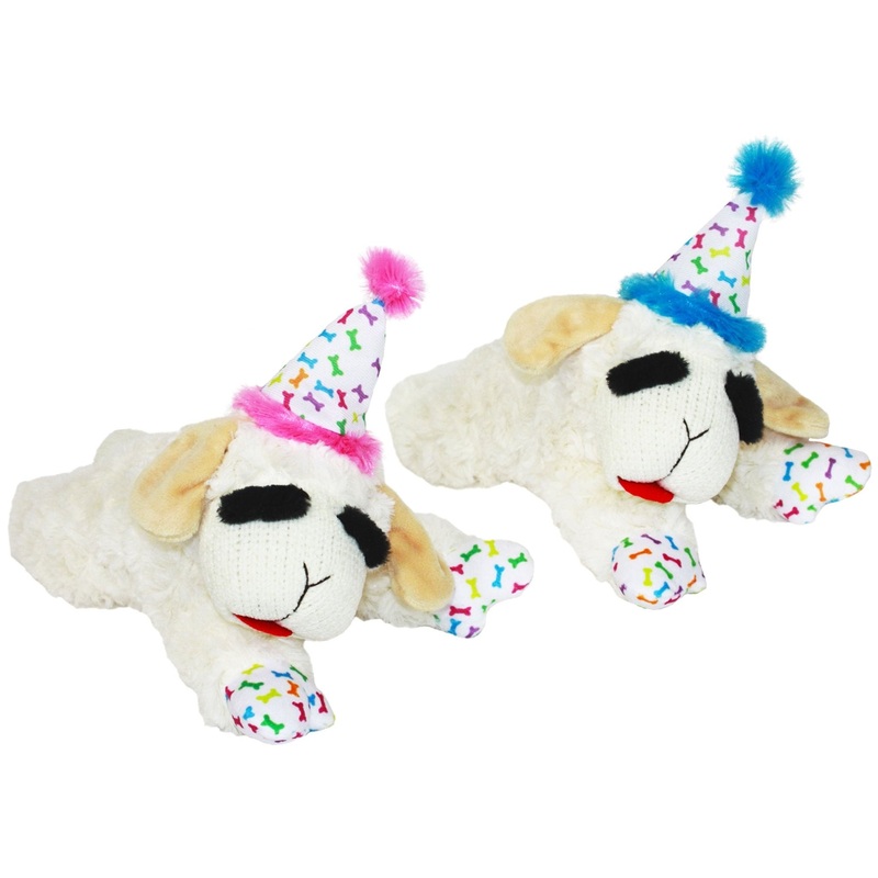 Lamb Chop with Birthday Hat, 10.5