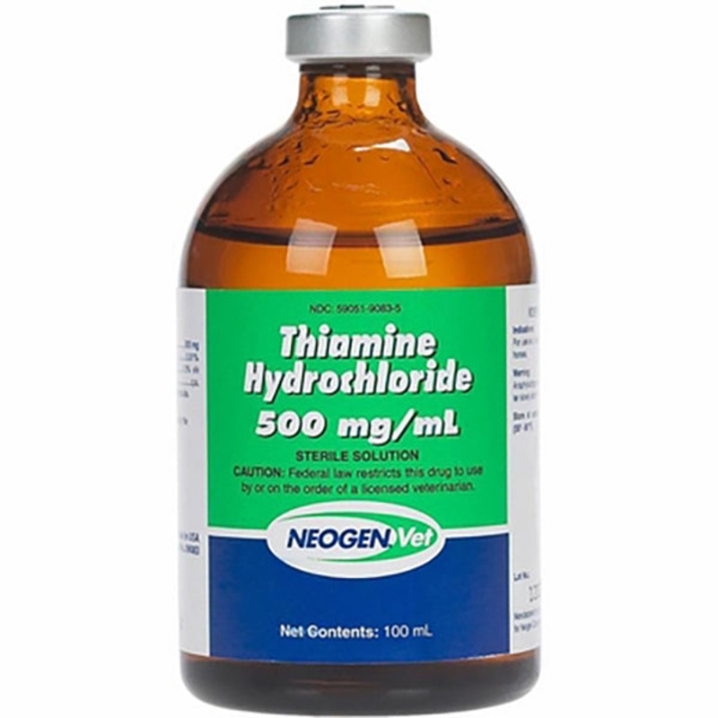 Rx Thiamine Hydrochloride Solution, 500mg/ml injection for Horses, Dogs & Cats