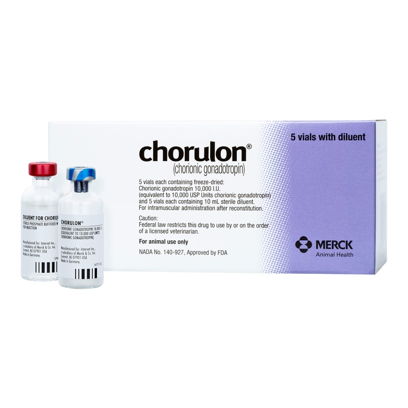 Chorulon HCG Injection for Cattle