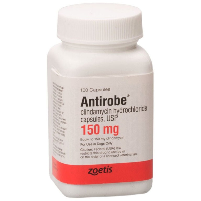 Rx Antirobe (clindamycin hydrochloride) Capsules for Dogs