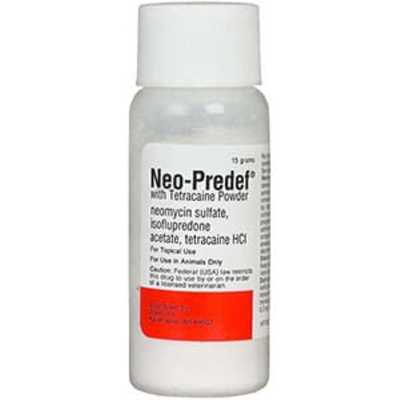 Rx Neo-Predef with Tetracaine Topical Powder for Horses, Dogs, & Cats, 15 gram
