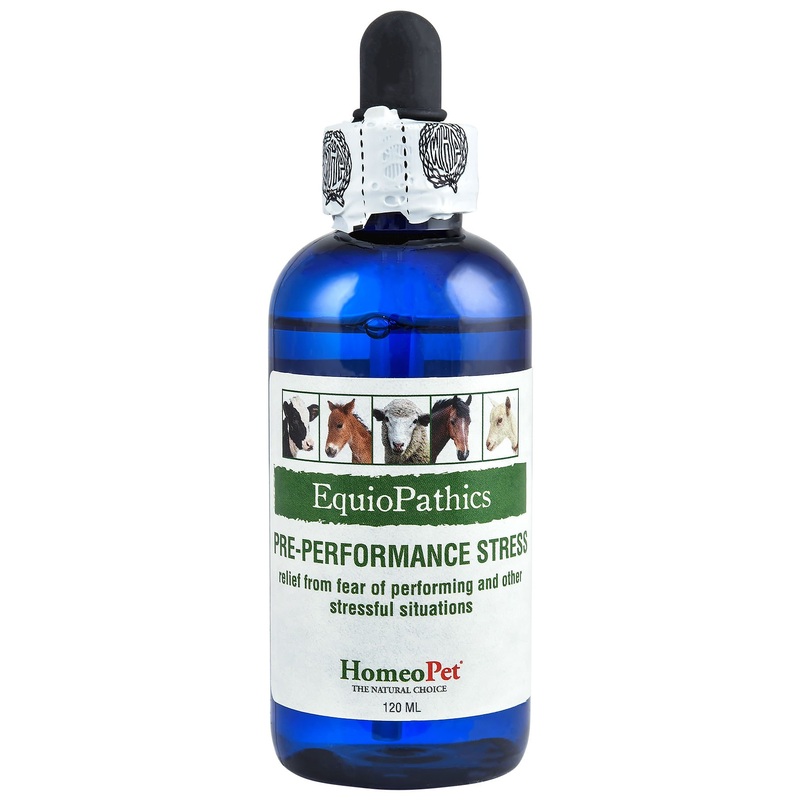 EquioPathics Pre-Performance Stress