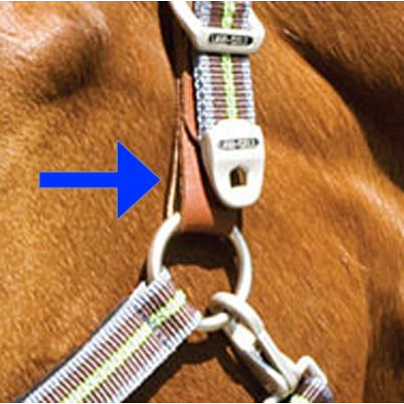 Replacement Tab for Breakaway Halter