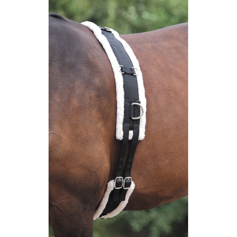 Nylon Lunging Surcingle W/ Fleece Padding