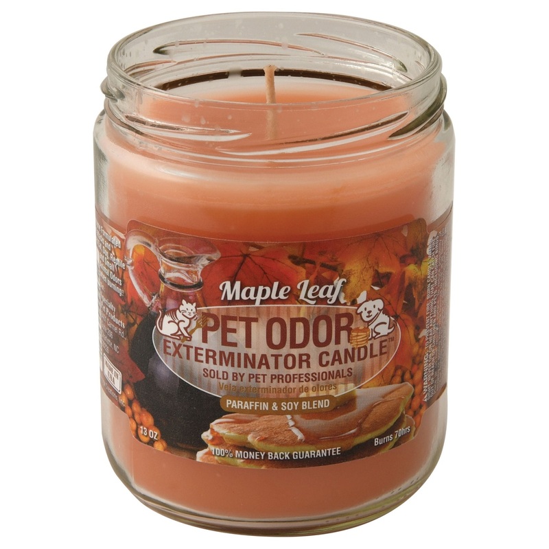 Pet Odor Exterminator Candle, Maple Leaf, 13 oz