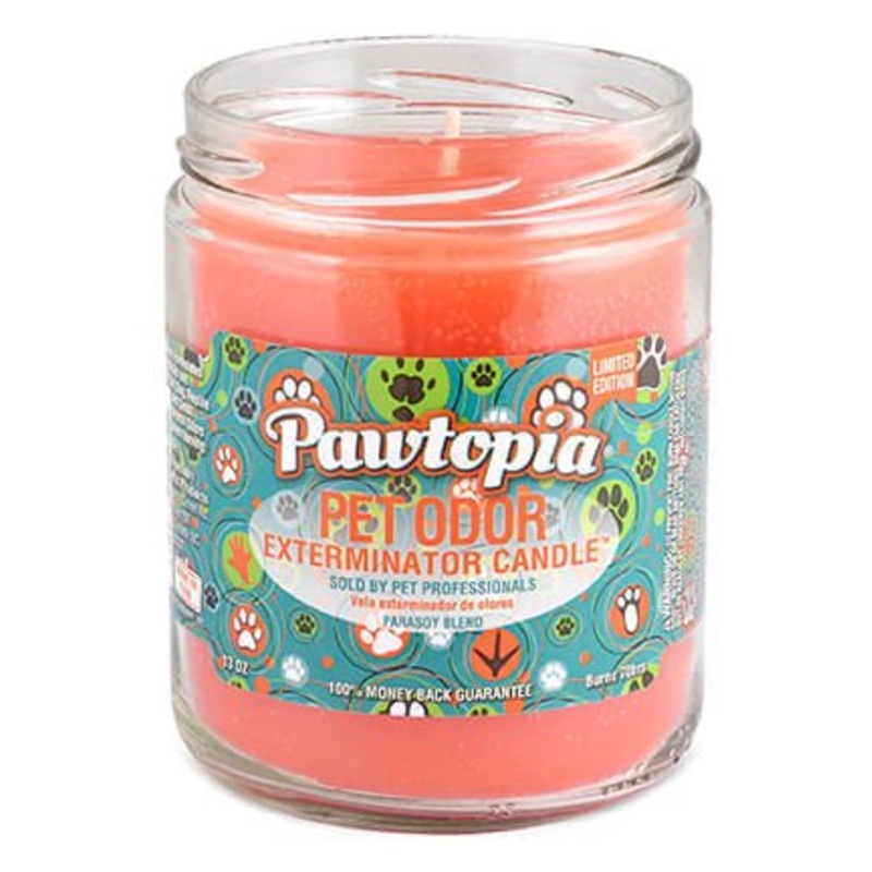Pet Odor Exterminator Candle, Pawtopia, 13 oz