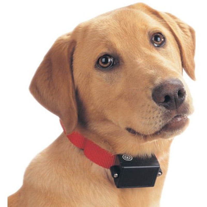 PetSafe Batteries (RFA-67D), 2 pack