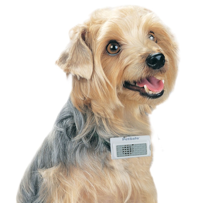 PetSafe Ultrasonic Bark Control Collar