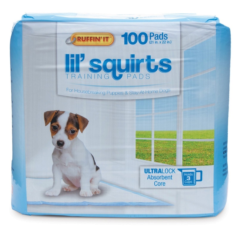Lil’ Squirts Training Pads|100 count|14 count