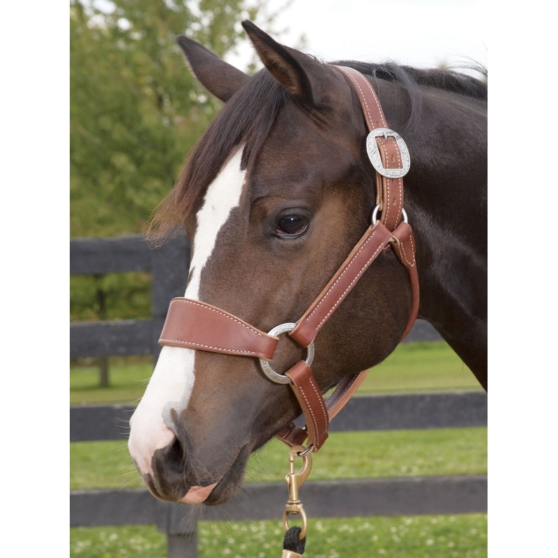 Weaver Leather Stacy Westfall Bronc Halter, Sunset Harness