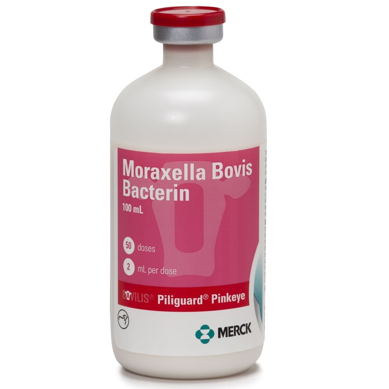 Bovilis Piliguard Pinkeye Cattle Vaccine