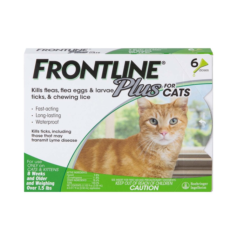 Frontline Plus for Cats|3 pack|6 pack