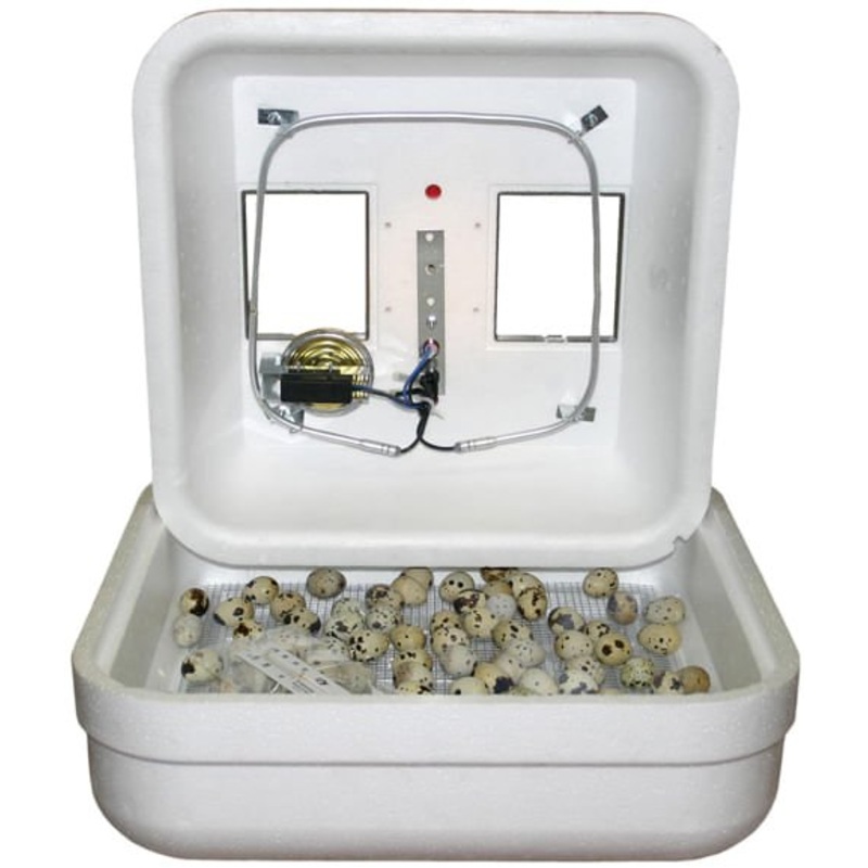 Hova-Bator Low Wattage Still-Air Incubator