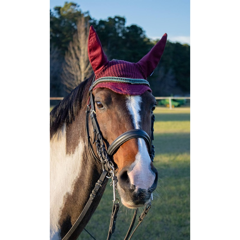 Weatherbeeta Prime Ear Bonnet for Horses