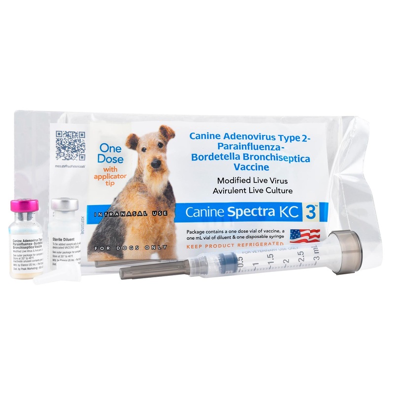 Canine Spectra KC 3 Intranasal Dog Vaccine, Single Dose with Applicator