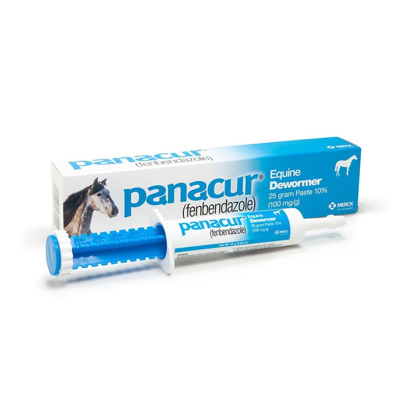 Panacur Equine Fenbendazole Dewormer Paste, 25 g