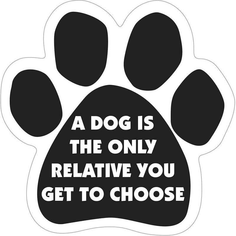 PAW Magnets, each|Crazy Cat Lady|I Love My Dogs|My Kids Have 4 PAWS|Who Rescued Who|Who Trained Who