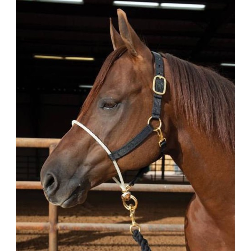 Rope Nose Nylon Halter|Black|Yearling/Cob|Horse