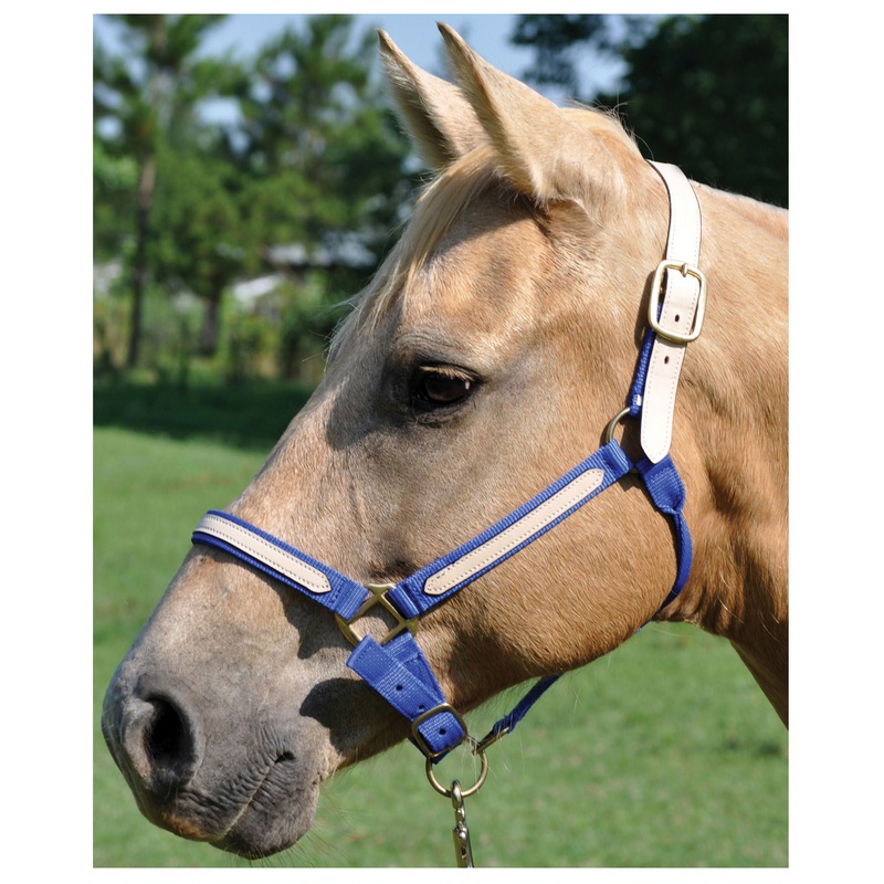Tough1 Leather Overlay Breakaway Horse Nylon Halter