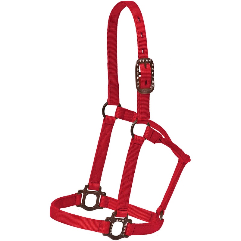 Mustang Nylon Halter with Antique Dot Hardware for Horses