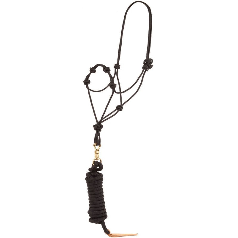 Training Halter with Horsemanship Lead