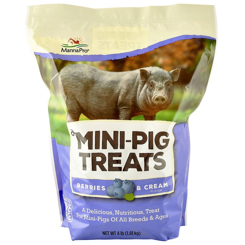 Manna Pro Mini Pig Treats, 4 lbs