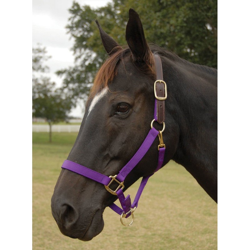 Perri’s Breakaway Adjustable Nylon Horse Halter