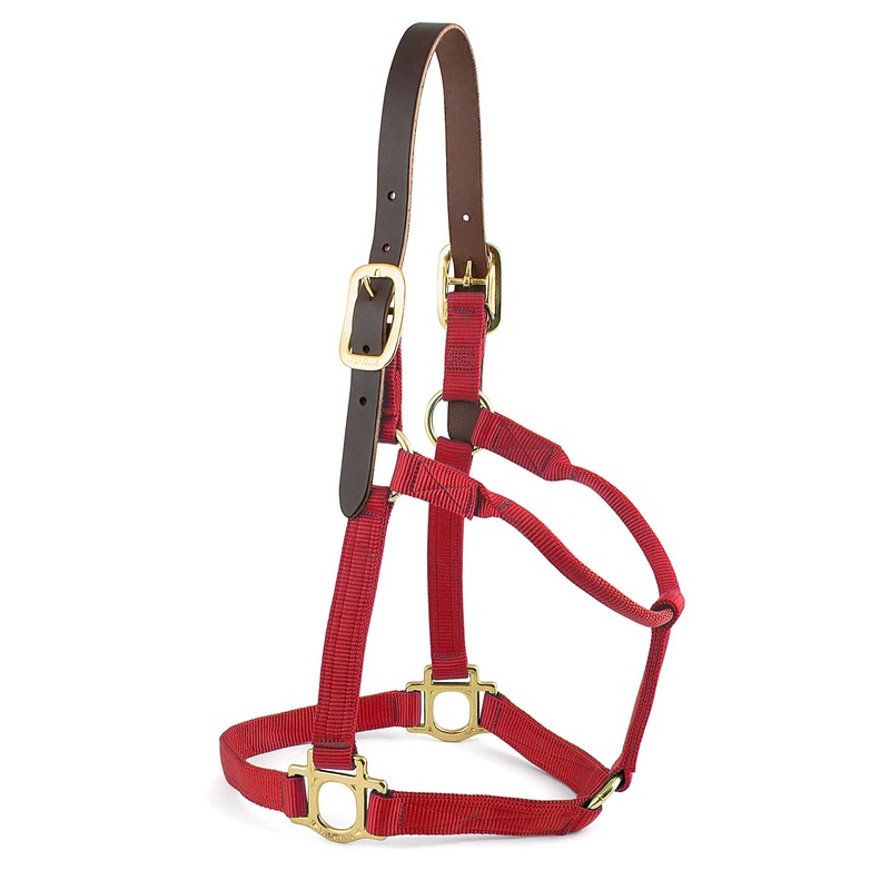 Valhoma Premium Breakaway Nylon Horse Halter with Leather Crown & Brass Hardware