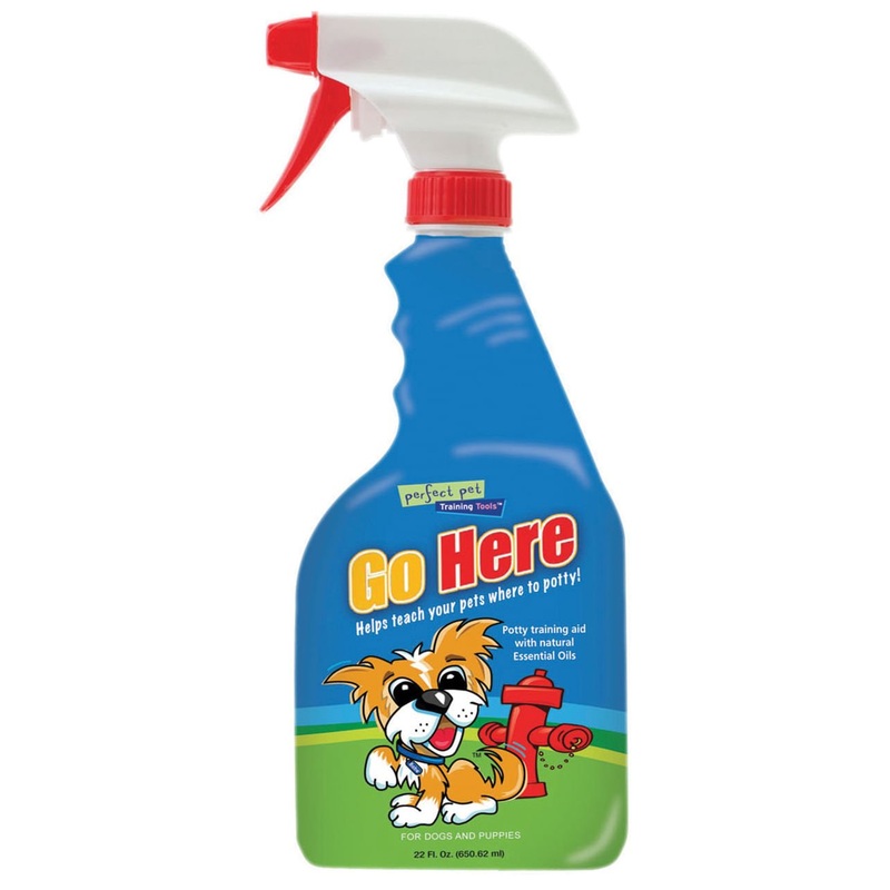 Go Here! Potty Training Spray for Dogs & Puppies, 22 oz