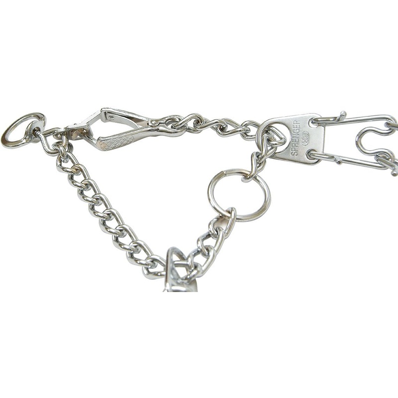 Snap-On Prong Training Collars