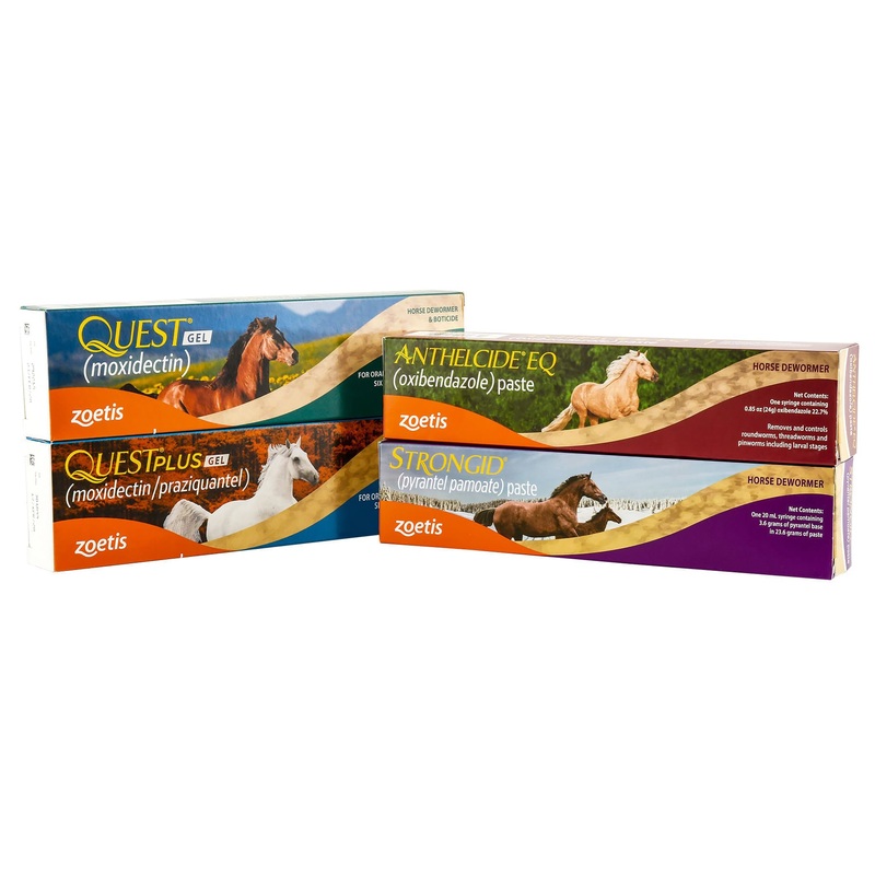Zoetis Horse Deworming Kit|Kit
