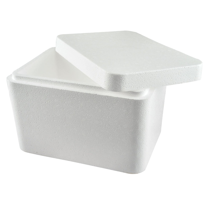 Foam Cooler for Vaccines|1 Cooler
