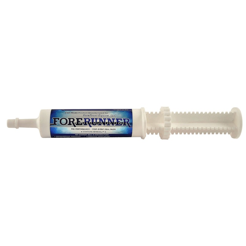 ForeRunner Paste