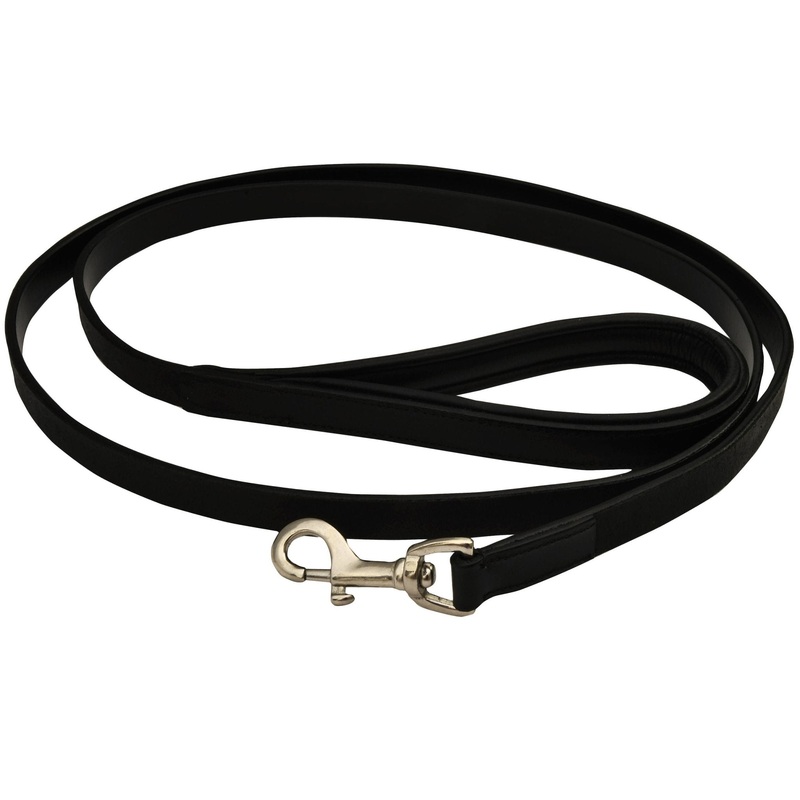 Premium Padded Black Leather Leash