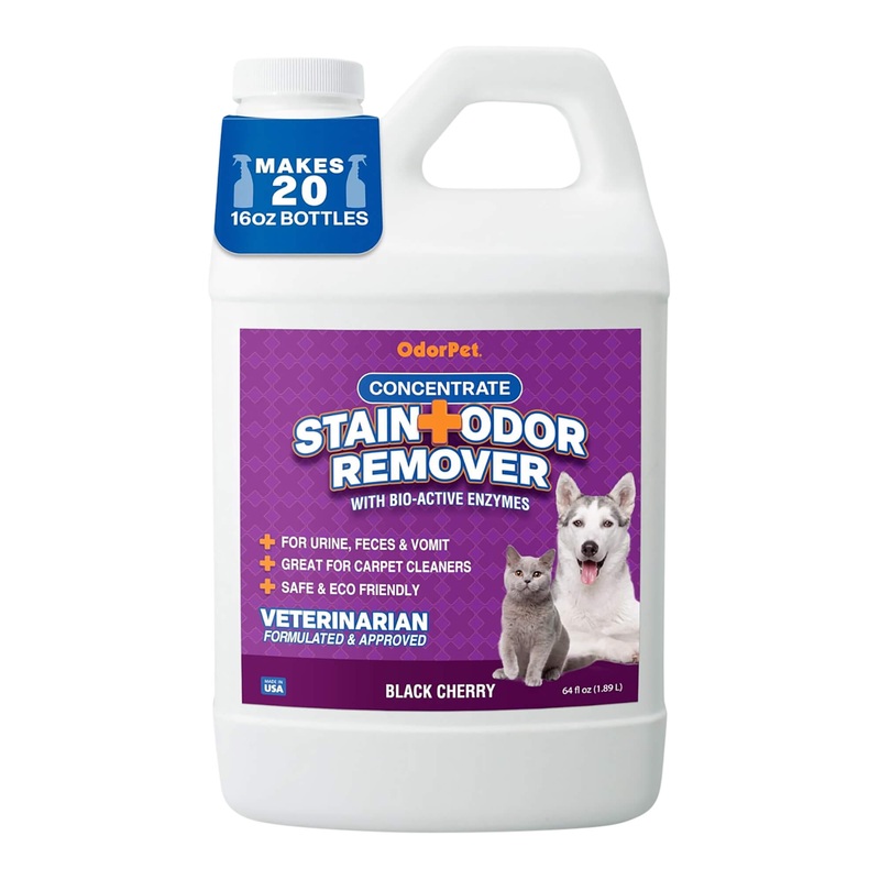OdorPet Stain and Odor Remover Concentrate,  Gallon