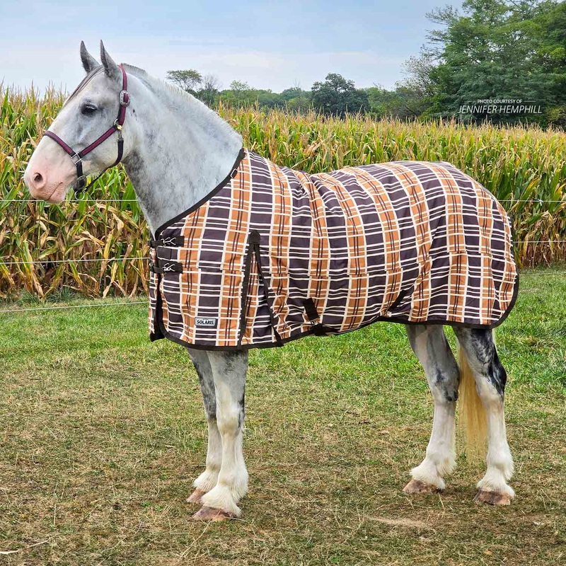 Solaris 1200 Denier Draft Horse Turnout Blanket, 240g, Brown & Cream Plaid